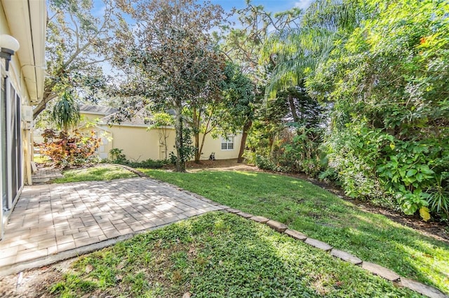 view of yard with a patio area