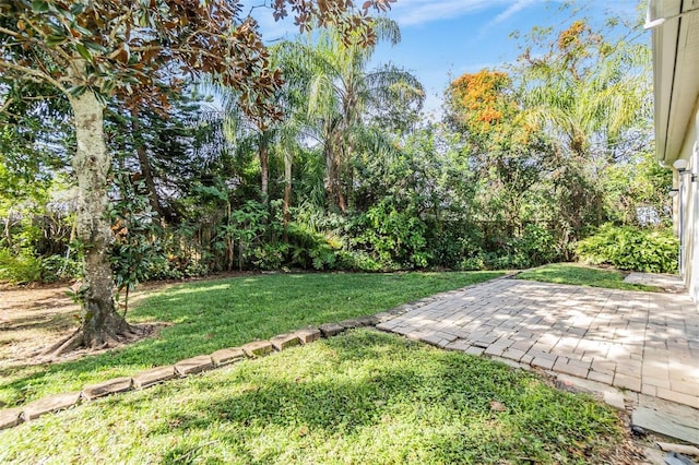 view of yard with a patio area