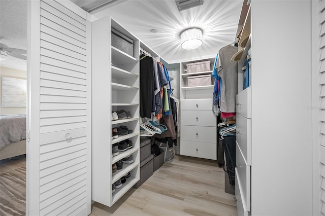 walk in closet featuring ceiling fan and light hardwood / wood-style floors