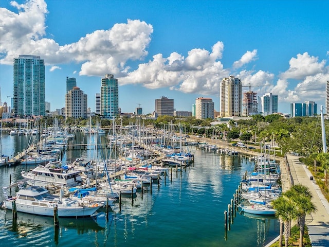 water view featuring a boat dock