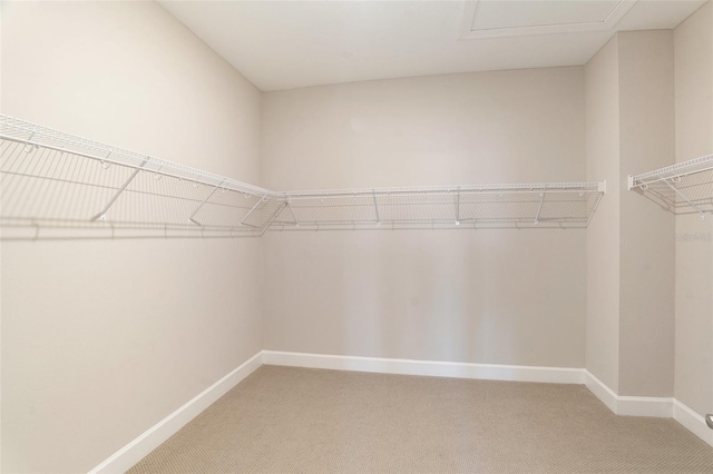 7122 Heron Walk Ln, Wesley Chapel, FL 33545 - photo 19