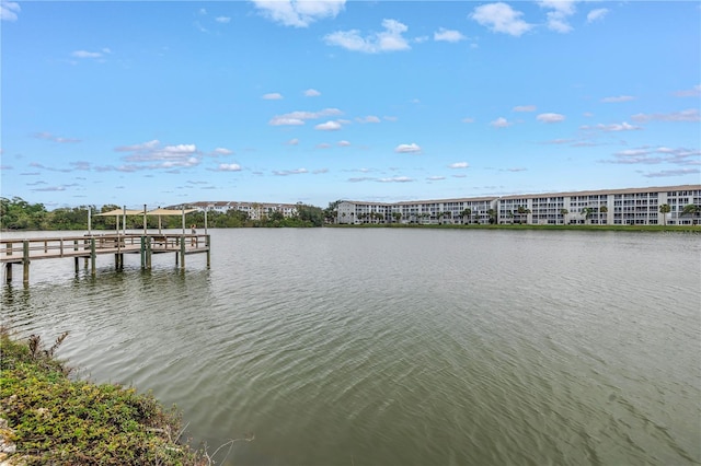 dock area with a water view