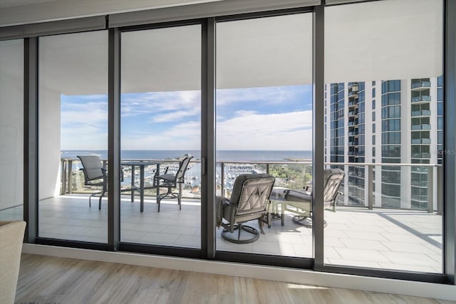 entryway featuring floor to ceiling windows, a water view, and wood-type flooring