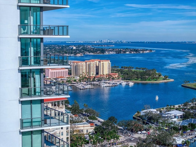 aerial view with a water view