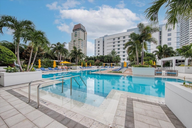 view of swimming pool with a patio area