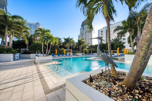 view of swimming pool featuring a patio area