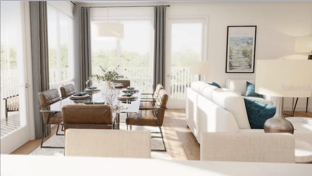 living room with light hardwood / wood-style flooring and a healthy amount of sunlight