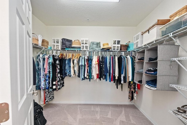 walk in closet with carpet flooring