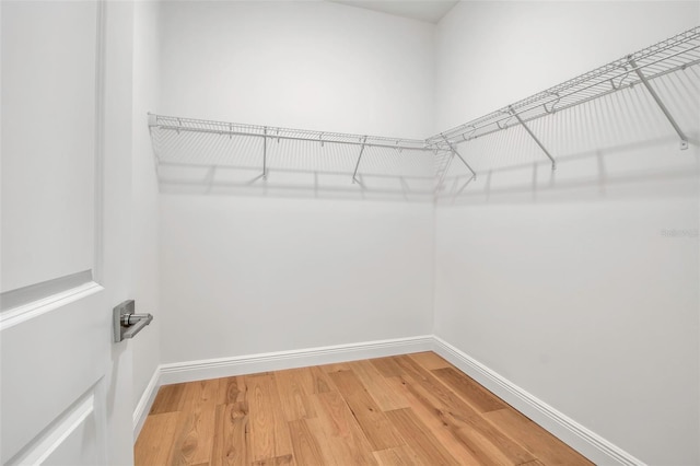 spacious closet featuring light wood finished floors