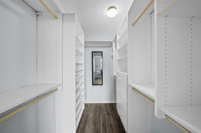 walk in closet with dark hardwood / wood-style floors