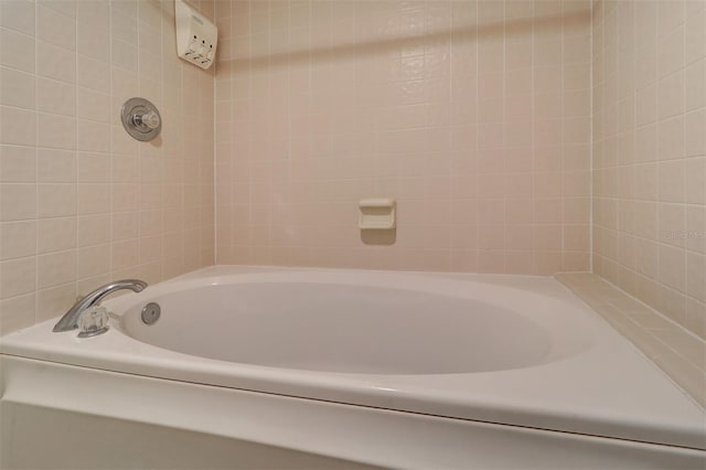 bathroom featuring a bathtub