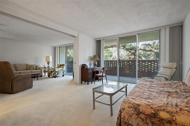 carpeted bedroom with access to outside, multiple windows, and expansive windows