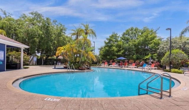 view of swimming pool with a patio area