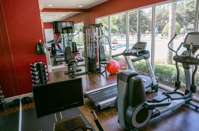 workout area featuring dark wood-type flooring