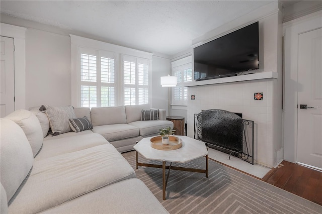 living room with a fireplace and wood-type flooring