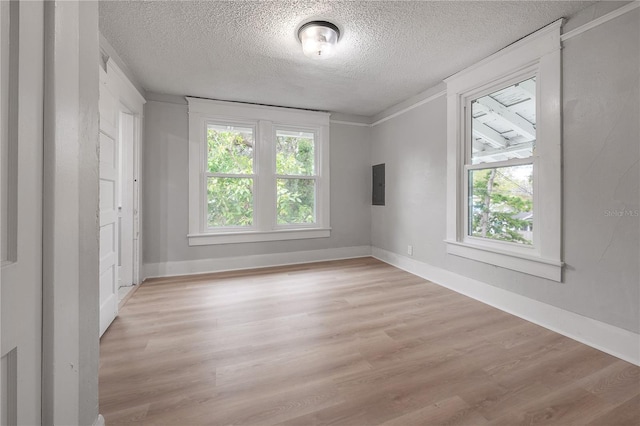 spare room with electric panel, a textured ceiling, and light hardwood / wood-style flooring