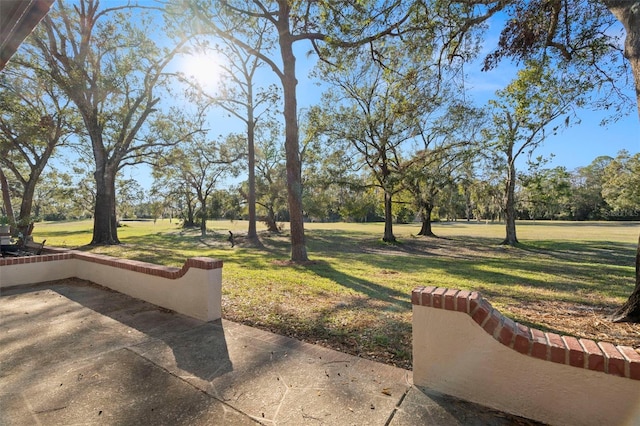 view of yard featuring a patio area