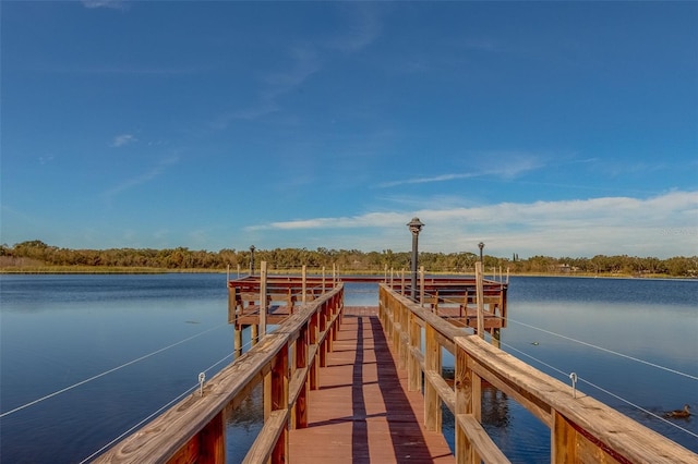 view of dock featuring a water view