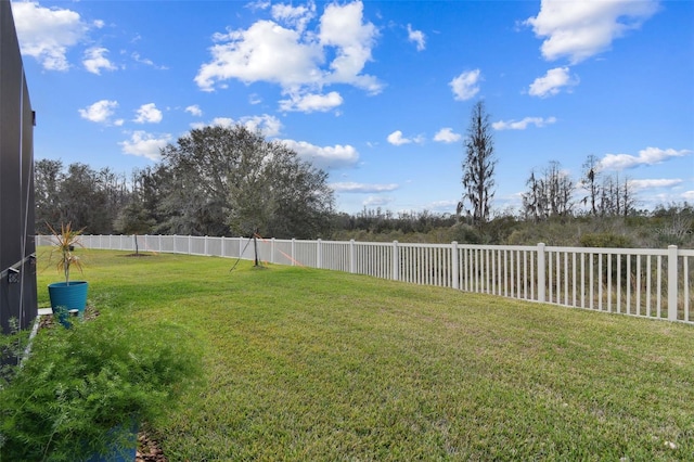 19315 Hawk Valley Dr, Tampa, FL 33647 - view of yard