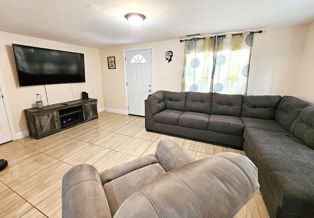 living room with a textured ceiling