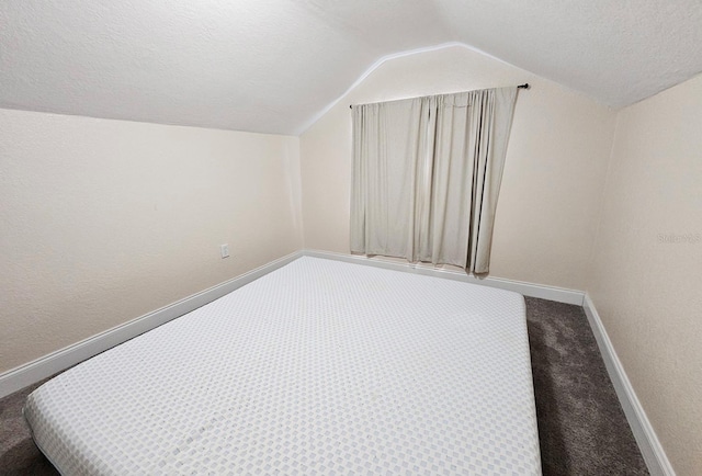 additional living space with a textured ceiling, carpet, and lofted ceiling