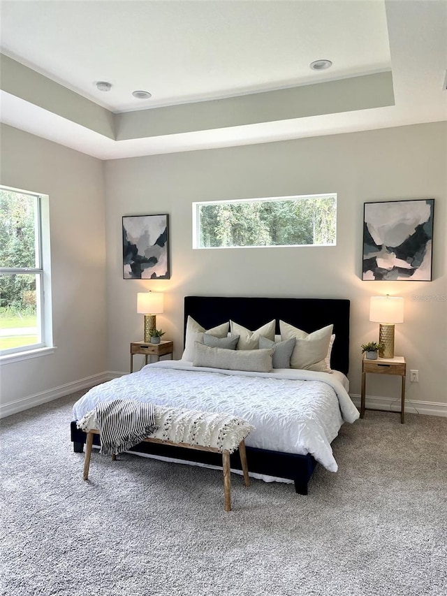 carpeted bedroom with a raised ceiling