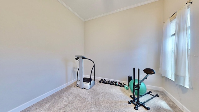 workout room with crown molding and vaulted ceiling