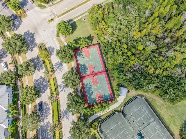 drone / aerial view