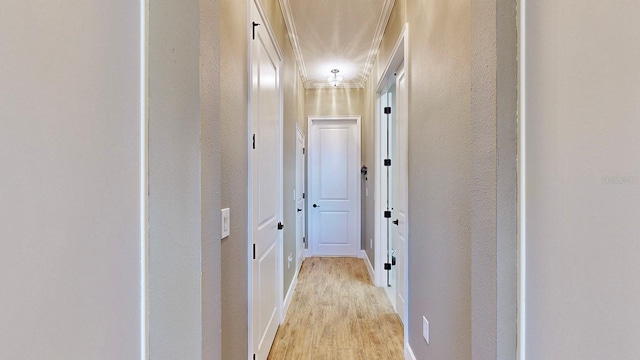 5221 Wishing Arch Dr, Apollo Beach, FL 33572 - photo 28