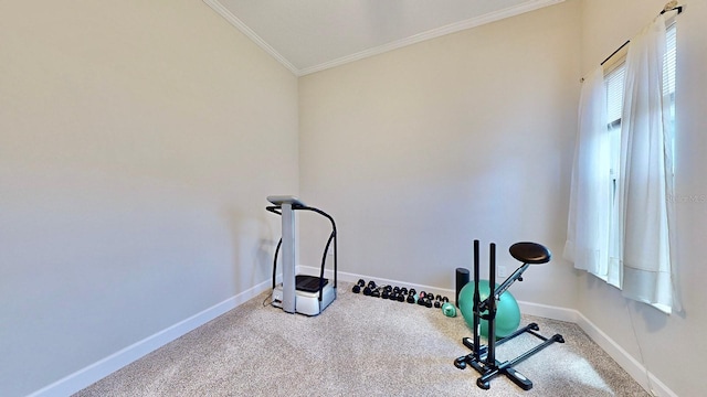 5221 Wishing Arch Dr, Apollo Beach, FL 33572 - photo 49
