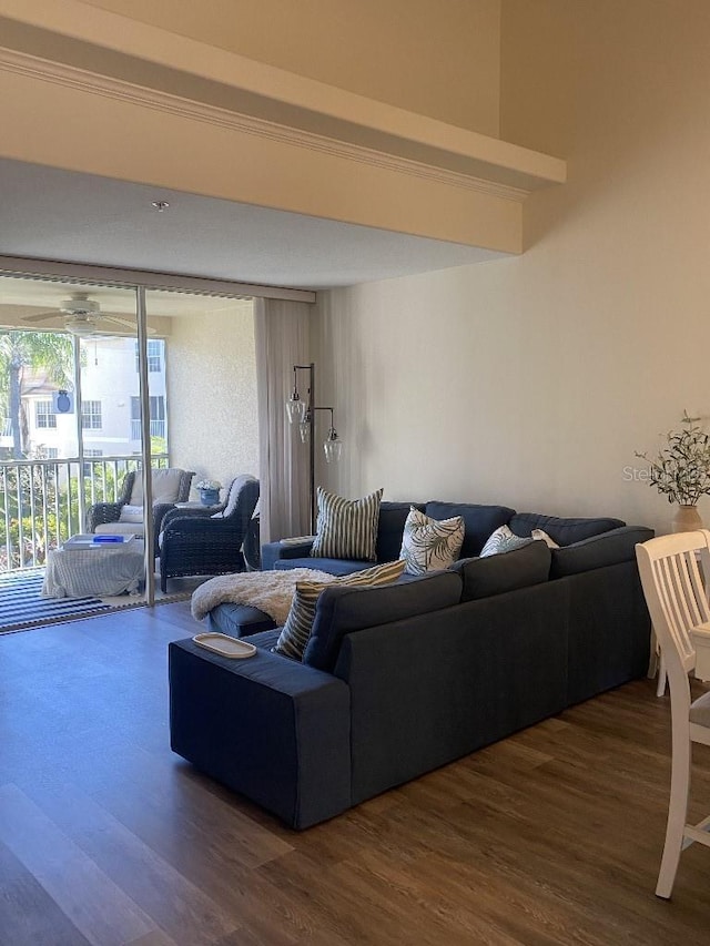 living room with dark hardwood / wood-style flooring