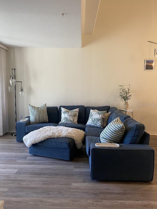 living room with dark hardwood / wood-style flooring