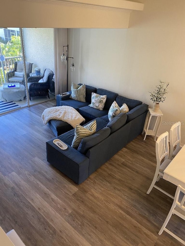 living room with dark hardwood / wood-style flooring