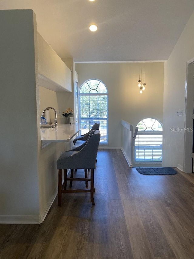 interior space featuring sink and dark hardwood / wood-style floors