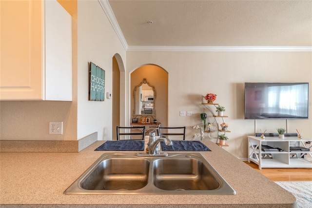 kitchen with sink and ornamental molding