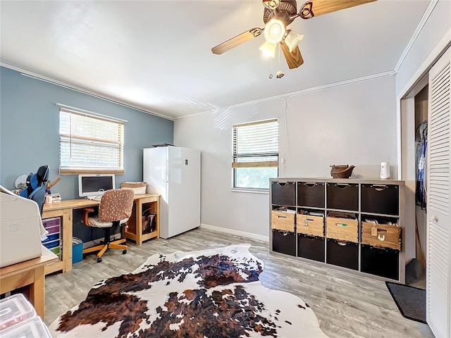 office space with a wealth of natural light, crown molding, and hardwood / wood-style flooring