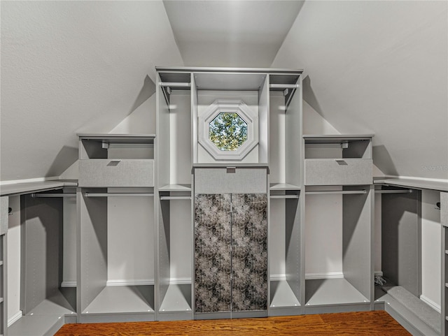 walk in closet with vaulted ceiling