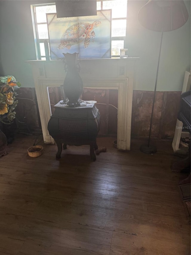 interior space with a wood stove and wood-type flooring