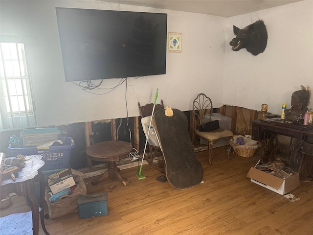 living room with light wood-type flooring