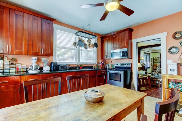 kitchen featuring sink, ceiling fan, dark stone countertops, wood-type flooring, and stainless steel appliances