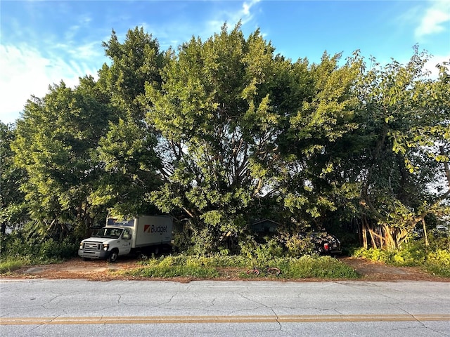 2733 34th Ave N, Saint Petersburg, FL 33713 - exterior space