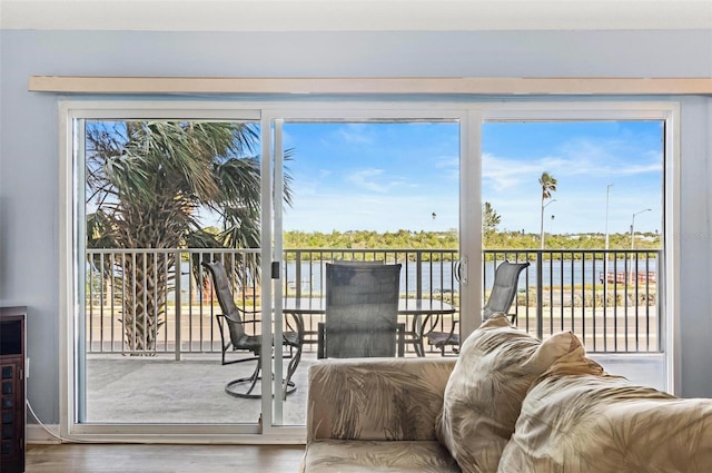 doorway featuring hardwood / wood-style floors and a water view