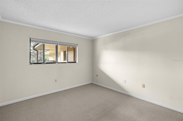 empty room with crown molding, carpet floors, and a textured ceiling