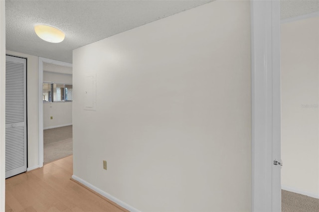 2679 Sabal Springs Cir Unit 203, Clearwater, FL 33761 - hallway with light wood-type flooring and a textured ceiling