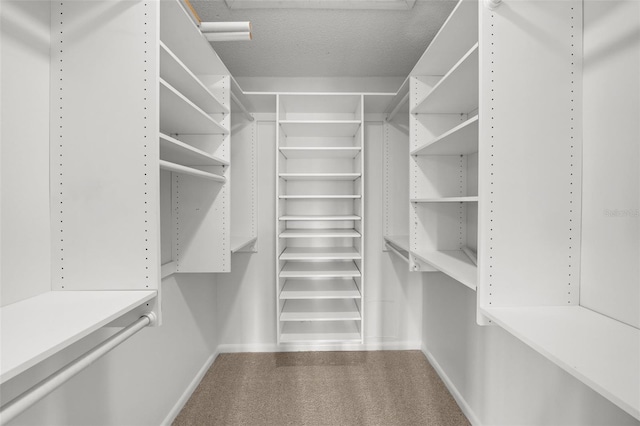 2679 Sabal Springs Cir Unit 203, Clearwater, FL 33761 - view of spacious closet
