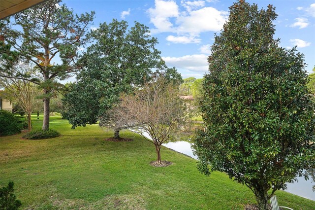 2679 Sabal Springs Cir Unit 203, Clearwater, FL 33761 - view of yard