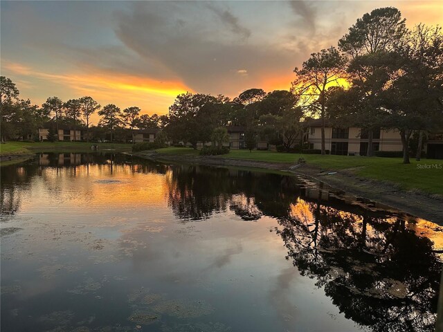 2679 Sabal Springs Cir Unit 203, Clearwater, FL 33761 - water view