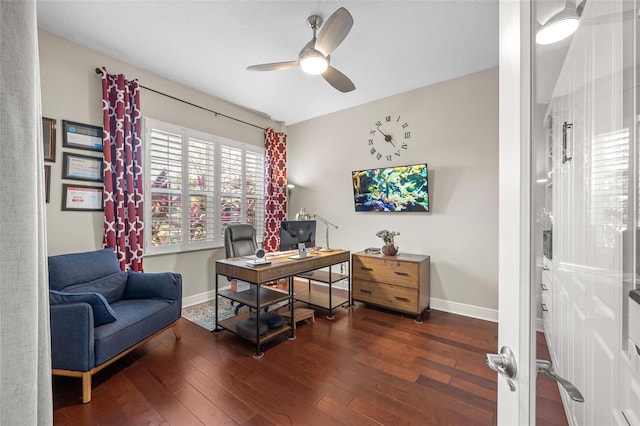 office featuring ceiling fan and dark hardwood / wood-style floors