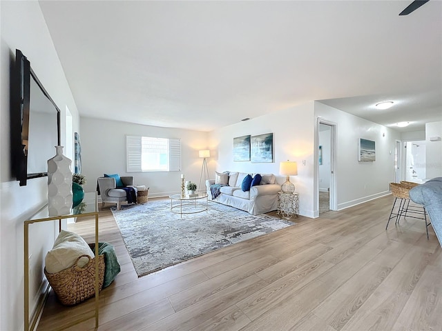 living room featuring light hardwood / wood-style floors