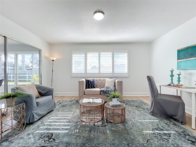 living room featuring hardwood / wood-style flooring and a healthy amount of sunlight